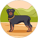 Lucy Yarden profile picture